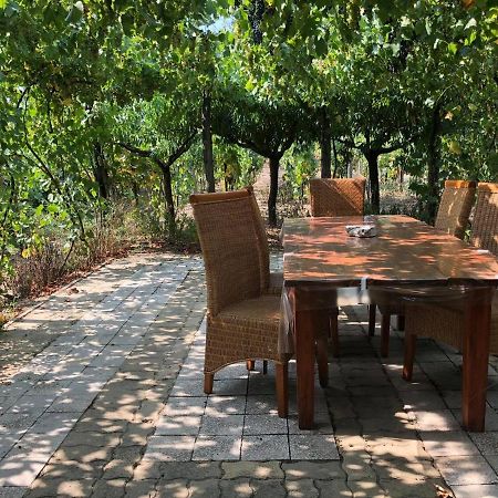 Szendergo - Apartman Hajos Pincefalu Exterior foto